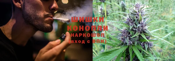 винт Бородино